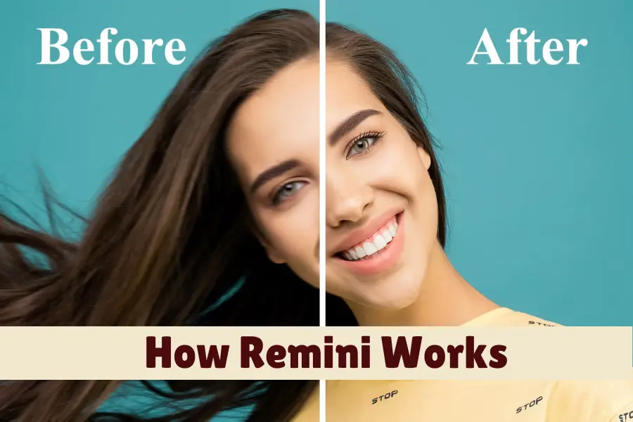 How Remini Works