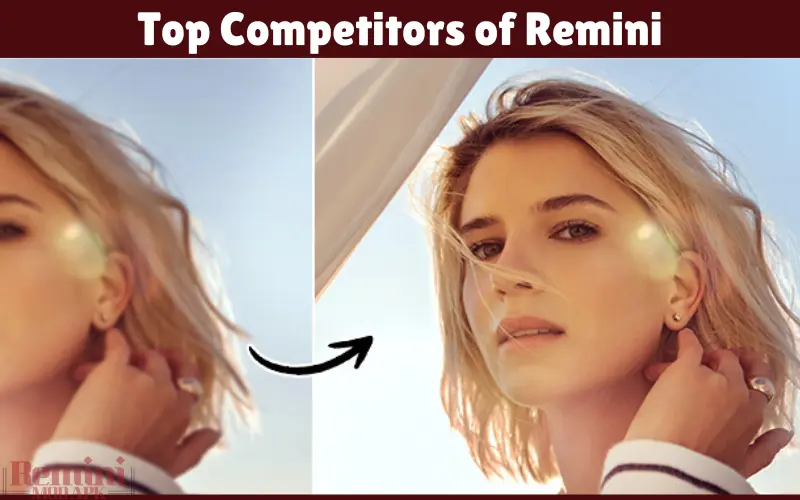 Top Competitors of Remini